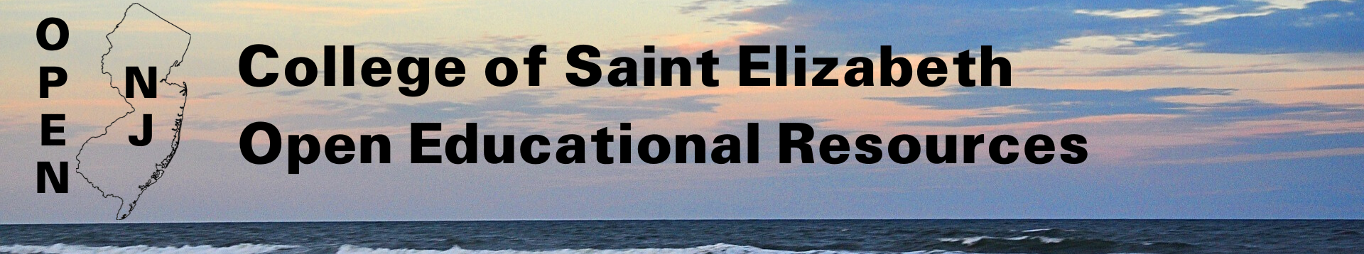 College of Saint Elizabeth